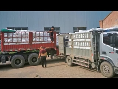 Chlorinated Polyethylene CPE 135A PVC Impact Modifier For PVC Pipes White Powder